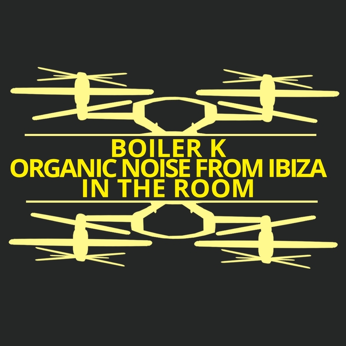 ORGANIC NOISE FROM IBIZA/BOILER K - In The Room