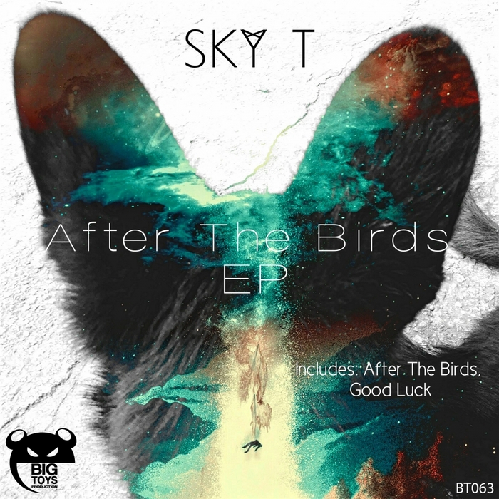 SKY T - After The Birds EP