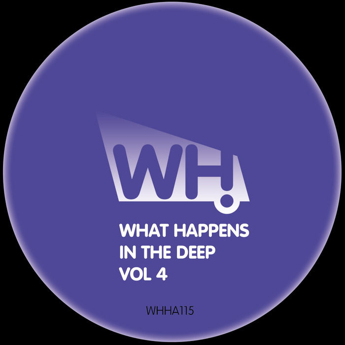 VARIOUS - What Happens In The Deep Vol 4