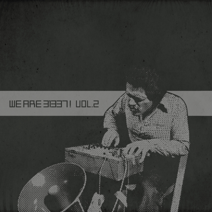 VARIOUS - We Are 31337! Vol 2