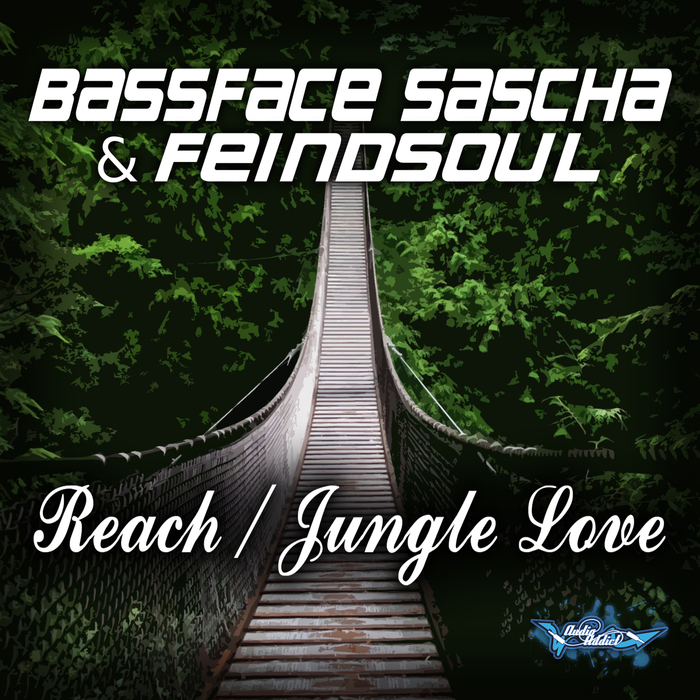 BASSFACE SASCHA/FEINDSOUL - Reach/Jungle Love