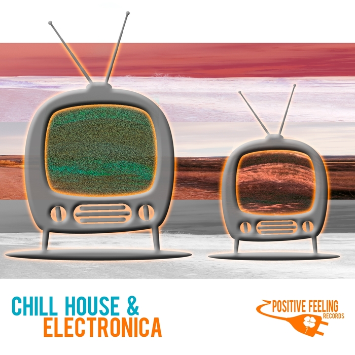 VARIOUS - Chill House & Electronica