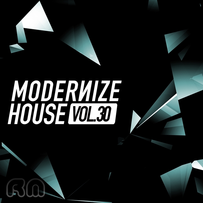 VARIOUS - Modernize House Vol 30