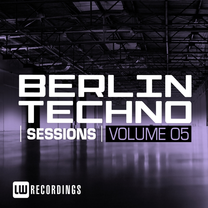 VARIOUS - Berlin Techno Sessions Vol 5