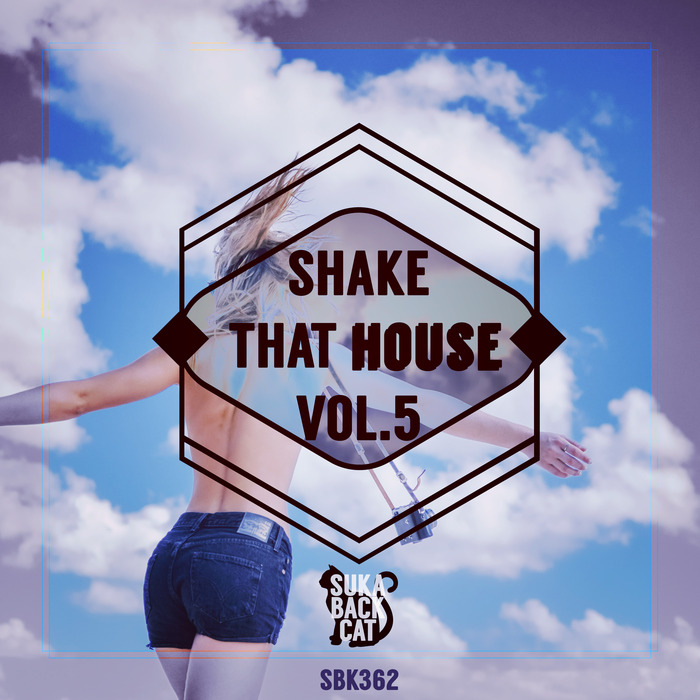 VARIOUS/DJ MCKOY - Shake That House Vol 5