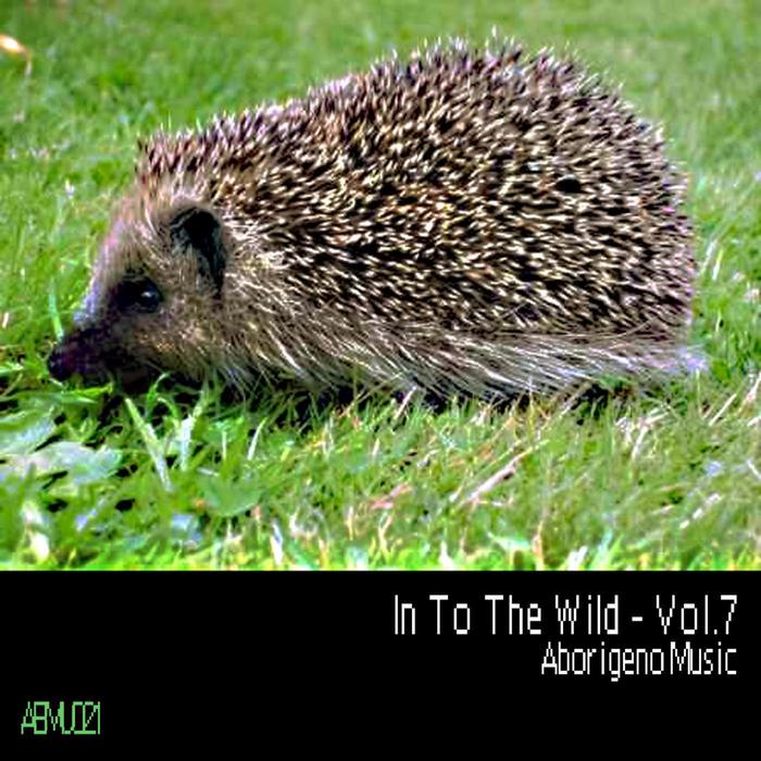 VARIOUS/BOY FUNKTASTIC - In To The Wild Vol 7