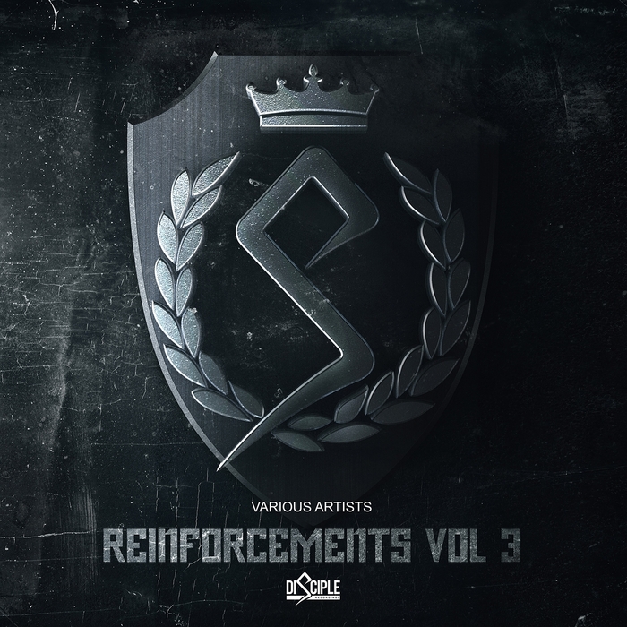 VARIOUS - Reinforcements Vol 3