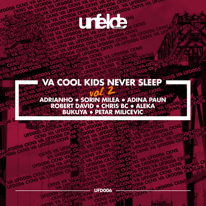 VARIOUS - Cool Kids Never Sleep Vol 2