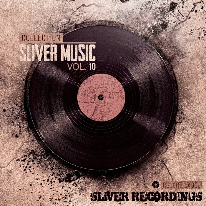 VARIOUS - Sliver Music Collection Vol 10