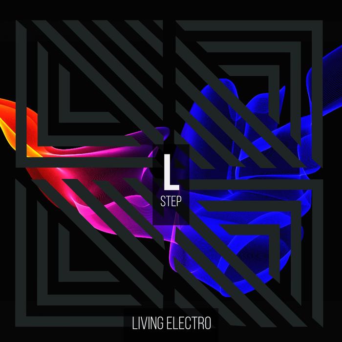 VARIOUS/BOY FUNKTASTIC - Living Electro/Step L