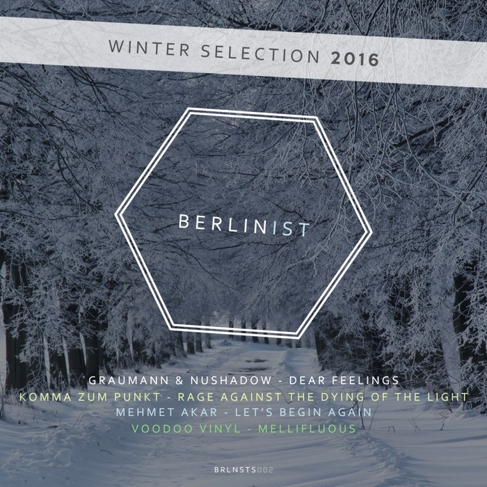 GRAUMANN/NUSHADOW/KOMMA ZUM PUNKT/MEHMET AKAR/VOODOO VINYL - Berlinist Winter Selection 2016