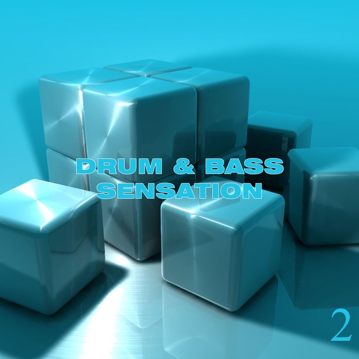 VARIOUS - Drum & Bass Sensation Vol 2
