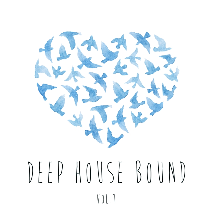 VARIOUS - Deep House Bound Vol 1