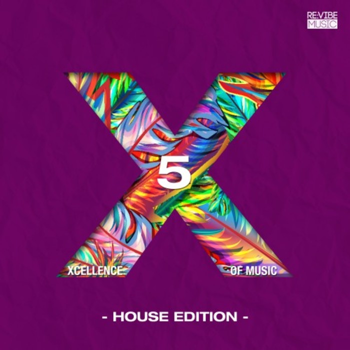 VARIOUS - Xcellence Of Music Vol 5 (House Edition)