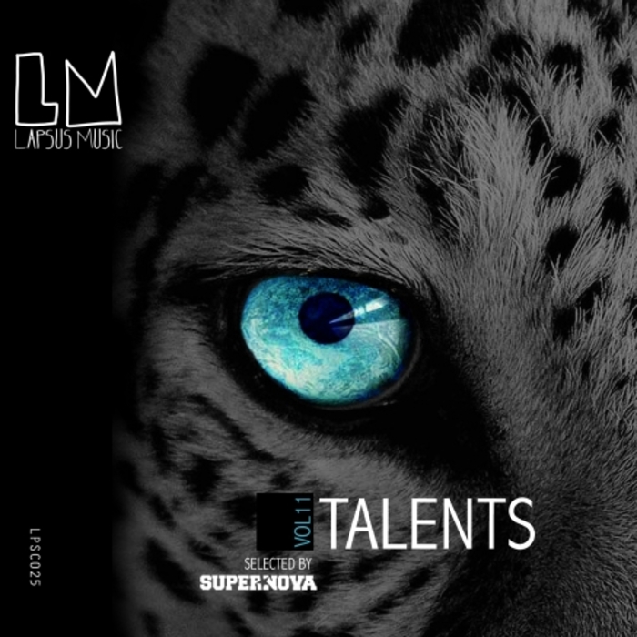 VARIOUS - Talents Vol 11