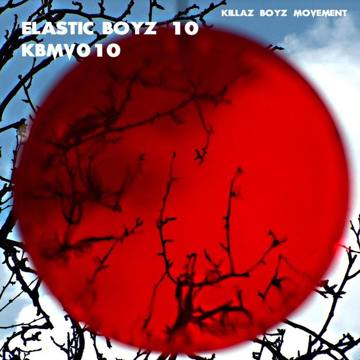 VARIOUS - ELASTIC BOYZ 10