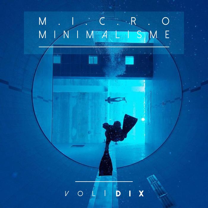 VARIOUS - Micro Minimalisme Vol Dix