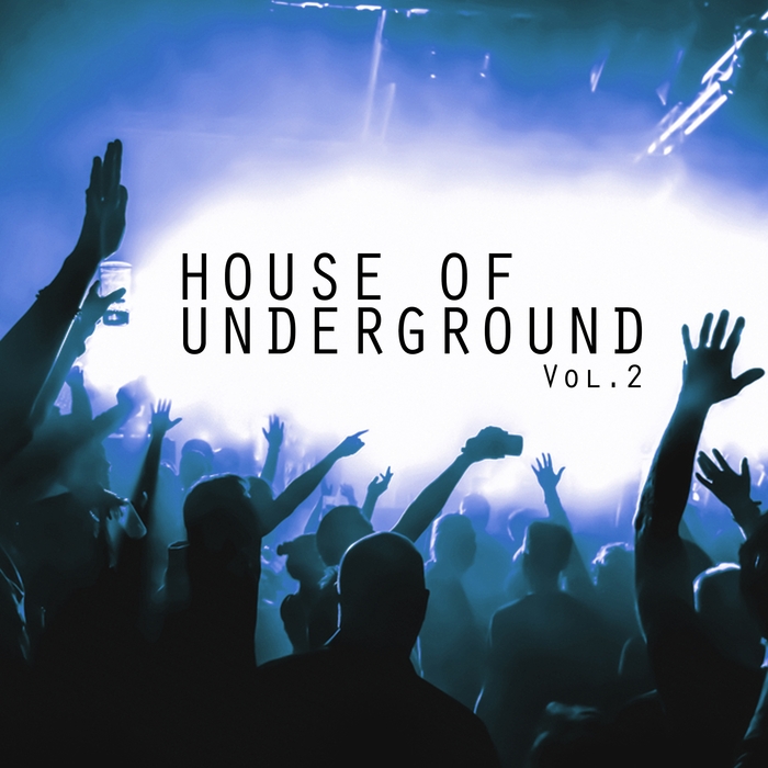 VARIOUS - House Of Underground Vol 2