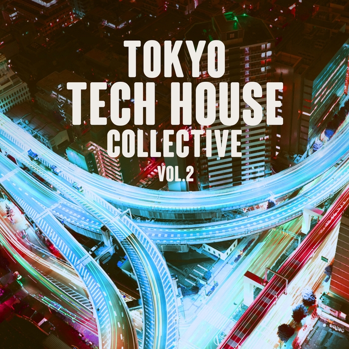 VARIOUS - Tokyo Tech House Collective Vol 2