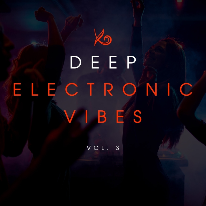 VARIOUS - Deep Electronic Vibes Vol 3