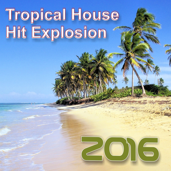 VARIOUS - Hit Explosion/Tropical House 2016