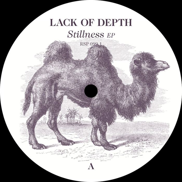 LACK OF DEPTH - Stillness