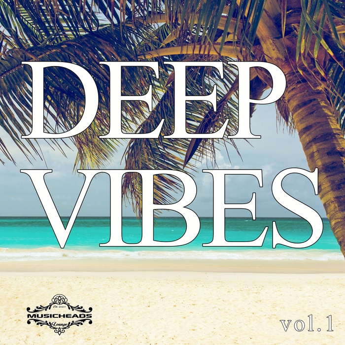VARIOUS - Deep Vibes Vol 1