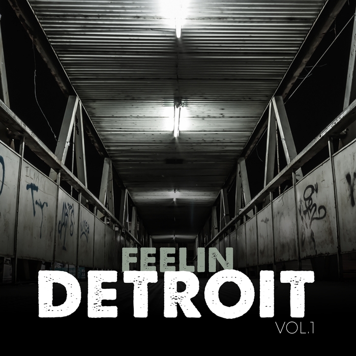 VARIOUS - Feelin Detroit Vol 1