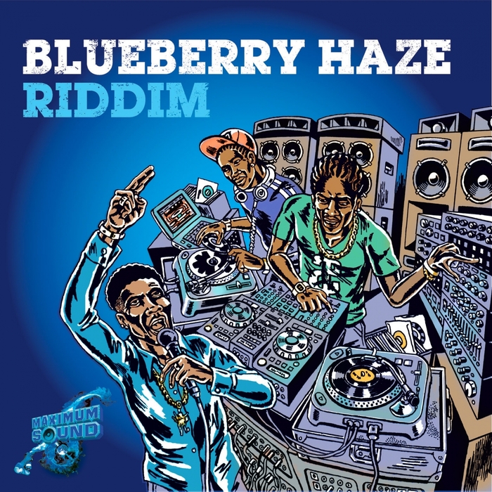 VARIOUS - Blueberry Haze Riddim