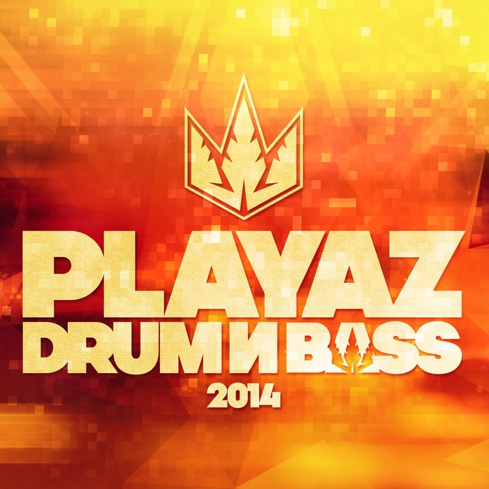 VARIOUS - Playaz Drum & Bass 2014