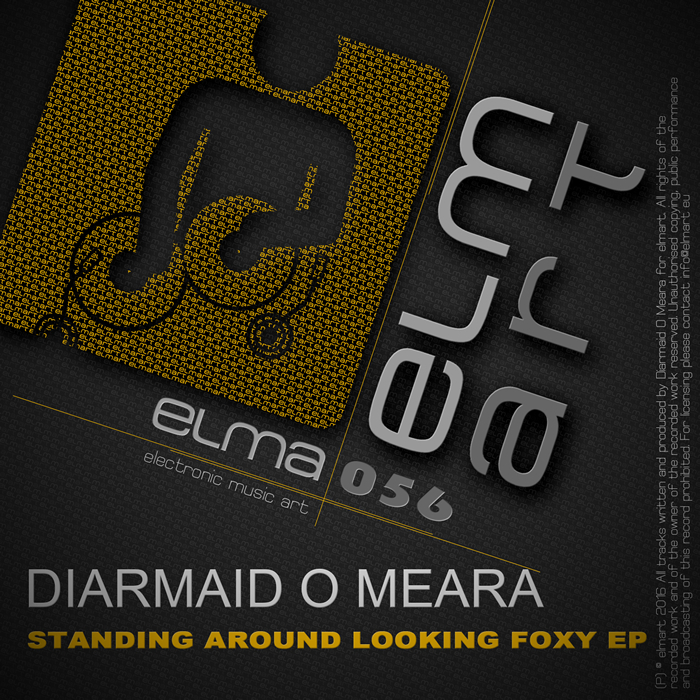 DIARMAID O MEARA - Standing Around Looking Foxy EP