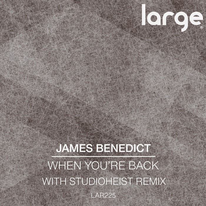 JAMES BENEDICT - When You're Back