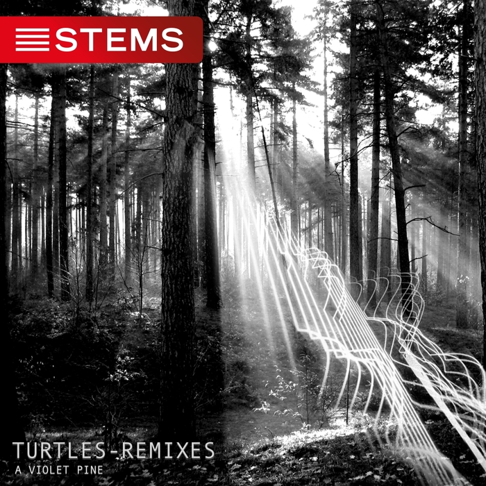 A VIOLET PINE - Turtles (Remixes)