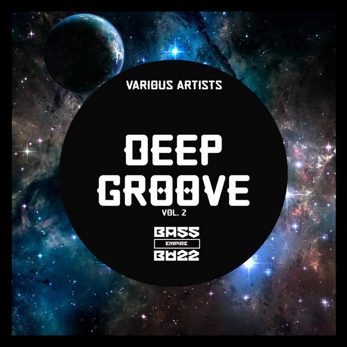 VARIOUS - Deep Groove Vol 2
