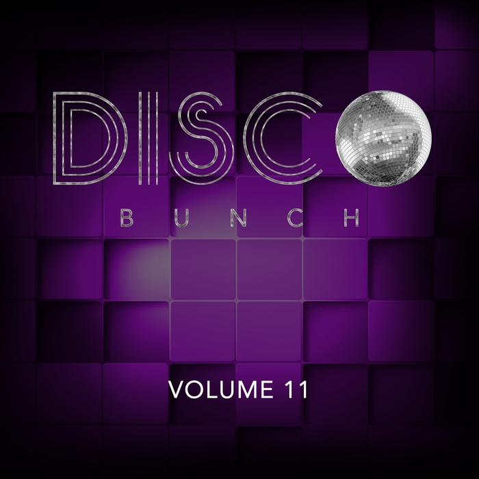 VARIOUS - Disco Bunch Vol 11