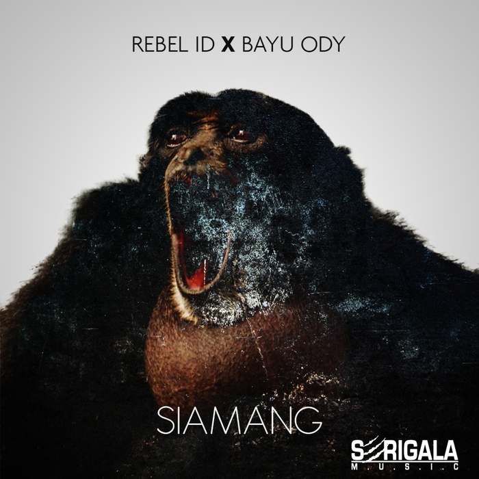 REBEL ID/BAYU ODY - Siamang