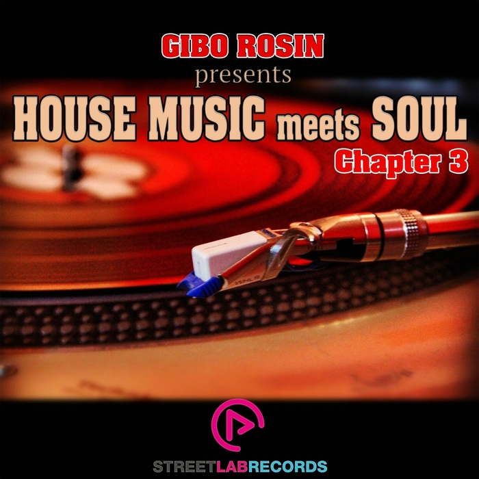 VARIOUS - Gibo Rosin presents House Music Meets Soul/Chapter 3