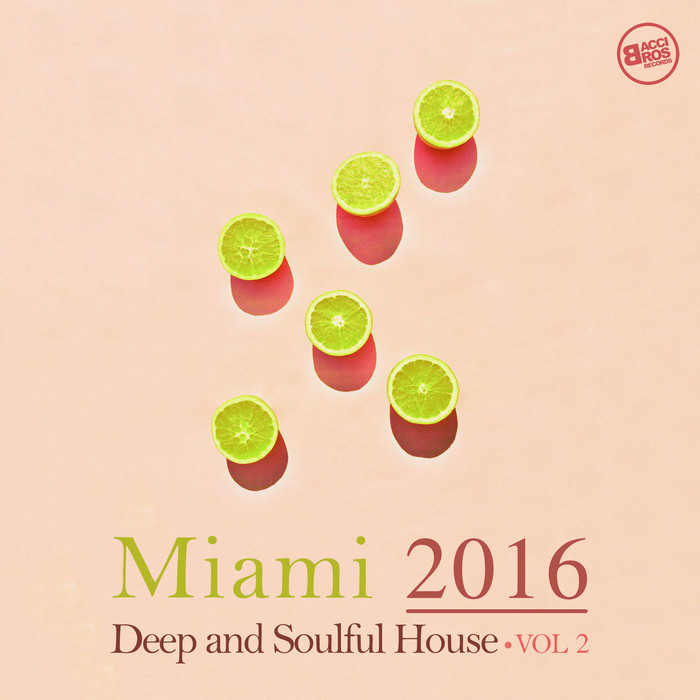 VARIOUS - Miami 2016/Deep And Soulful House Vol 2