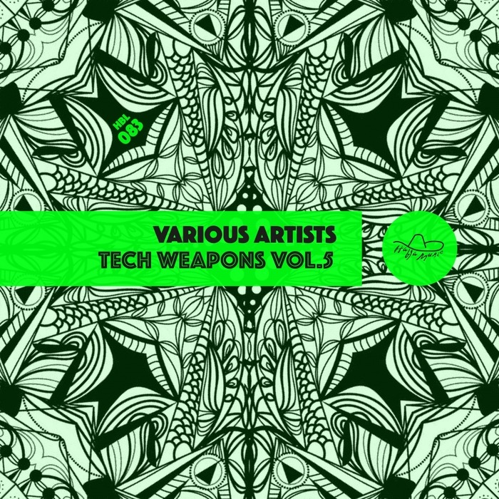 ALEX RUBIA/MAIKI/ANDREW MINA/LAST VISION/ROBERTO SURACE/ALAN NIEVES - Tech Weapons Vol 5 VA