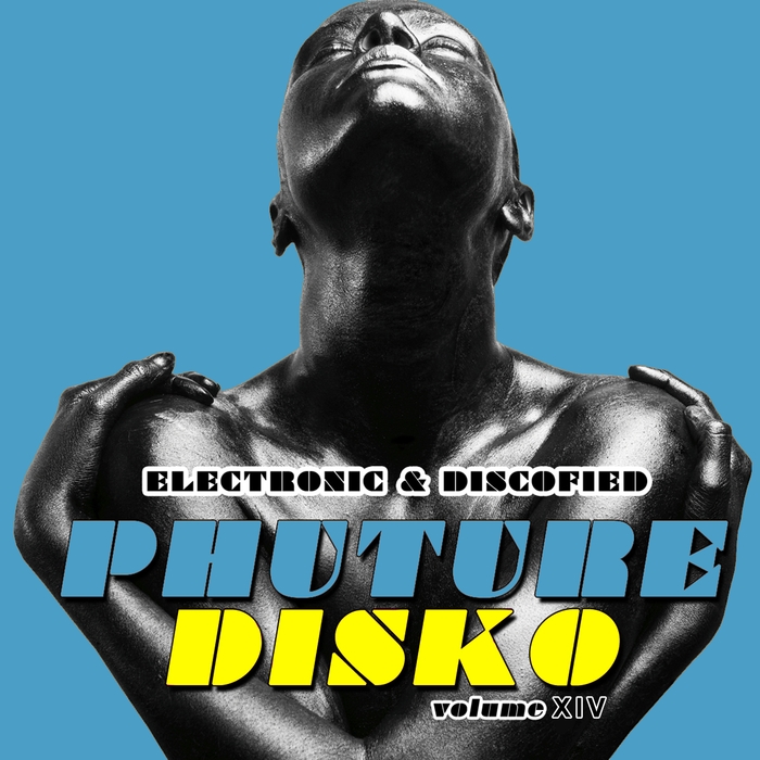 VARIOUS - Phuture Disko Vol 14/Electrified & Discofied