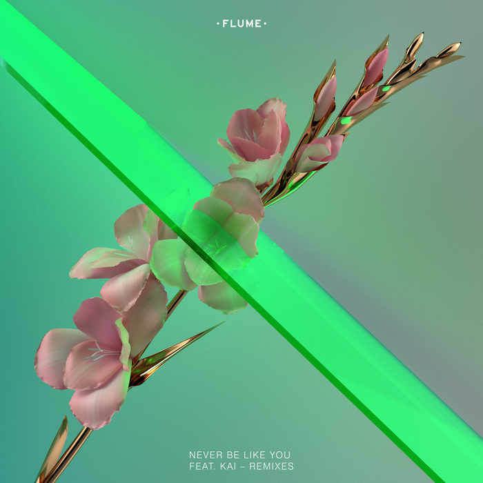 FLUME/KAI - Never Be Like You (Remixes)