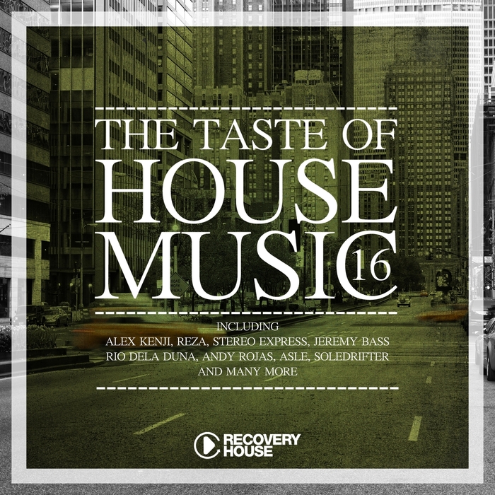 VARIOUS - The Taste Of House Music Vol 16