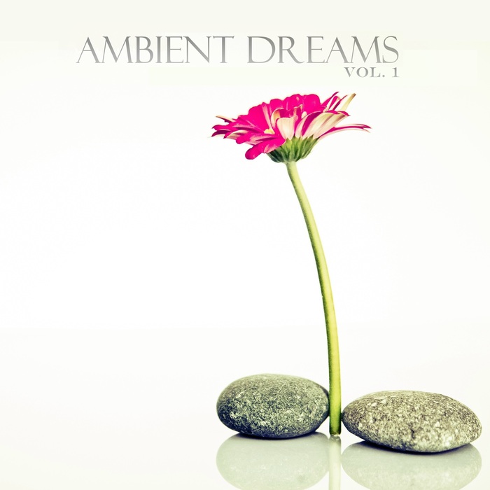 VARIOUS - Ambient Dreams Vol 1