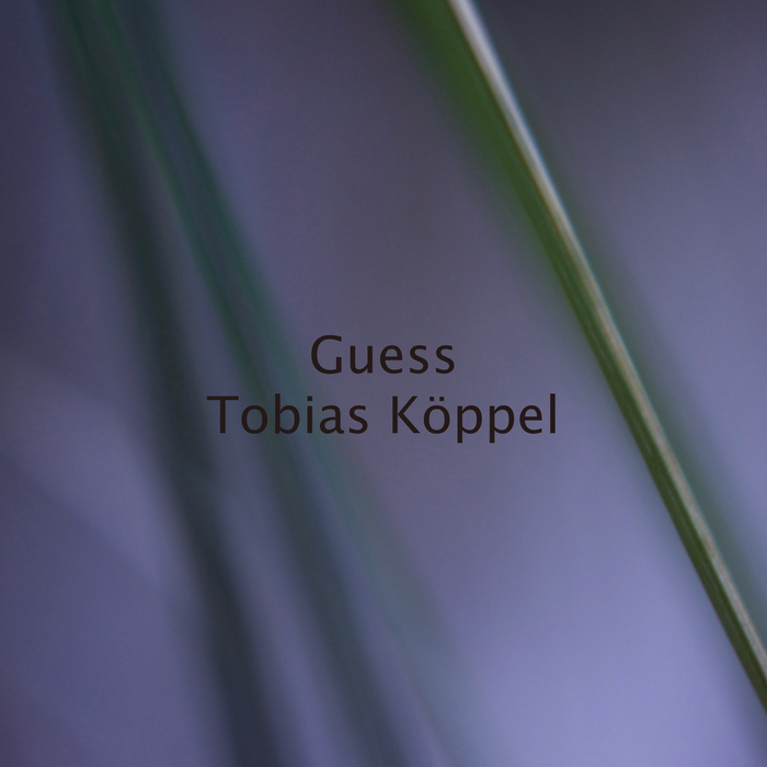 TOBIAS KOPPEL - Guess