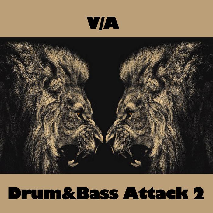 BEAT LEAGUE/DJ ROCKET/DOCTOR JUNGLE/KRISHNA DRUMS/UNKNOWN ARTIST - Drum And Bass Attack 2