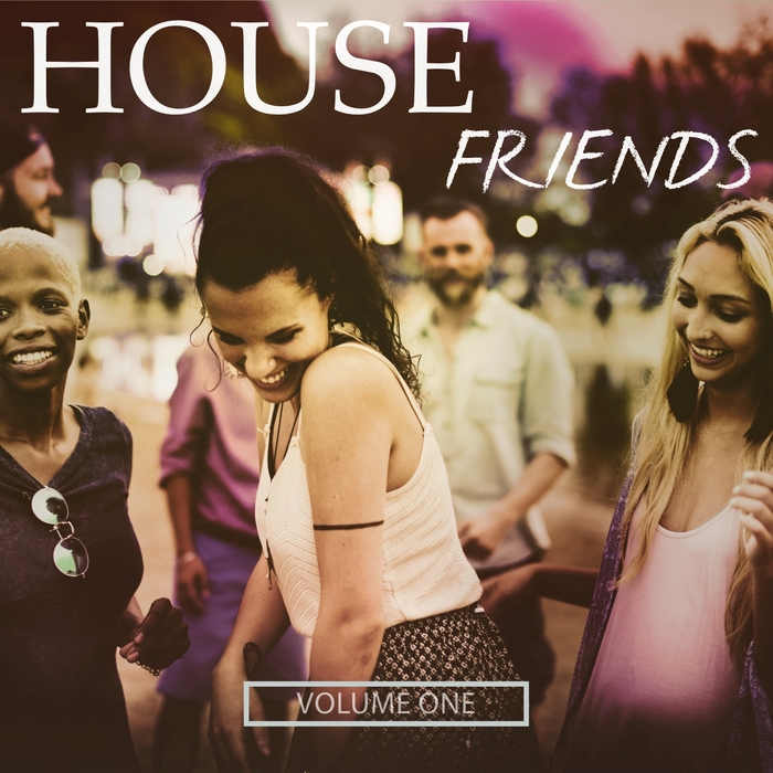 VARIOUS - House Friends Vol 1 (These Bangers Just Make You Move)