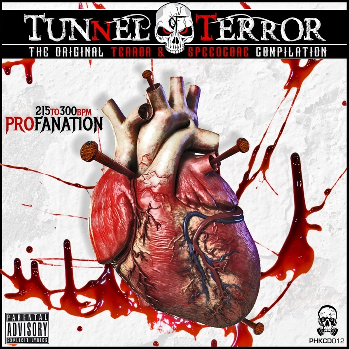 VARIOUS - Tunnel Of Terror/The Original Terror/Speedcore Compilation/Profanation