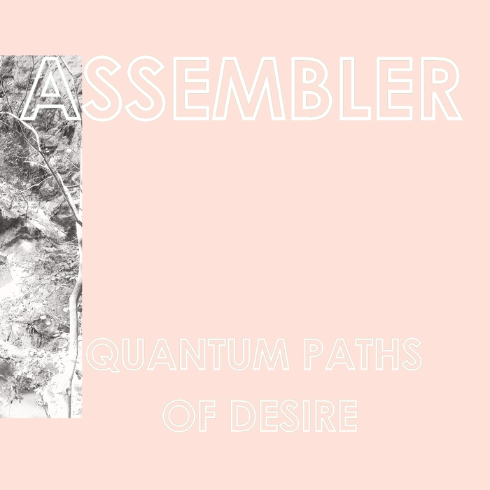 ASSEMBLER - Quantum Paths Of Desire