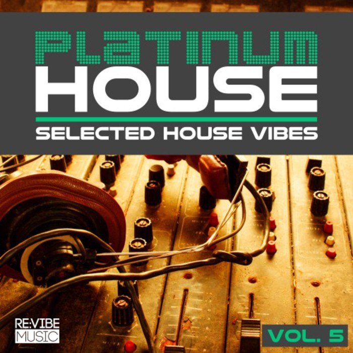 VARIOUS - Platinum House Vol 5 (Selected House Vibes)