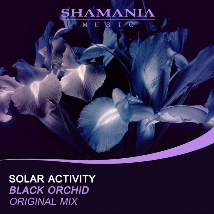 SOLAR ACTIVITY - Black Orchid